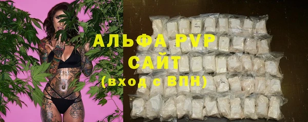 хмурый Абаза