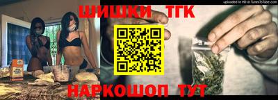spice Камышлов