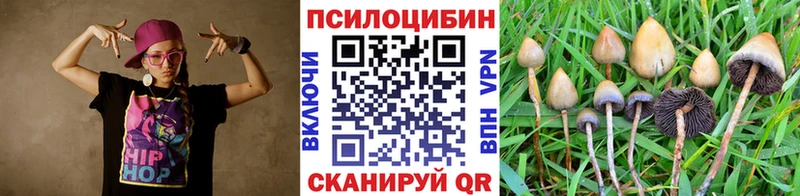 купить  цена  Миллерово  Галлюциногенные грибы мицелий 