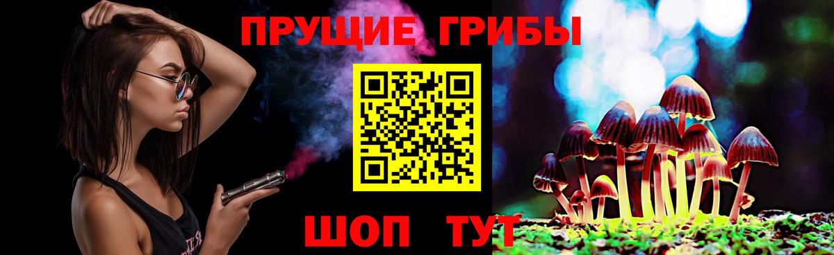 Псилоцибиновые грибы Psilocybine cubensis  Вход с VPN  купить наркоту  Миллерово 