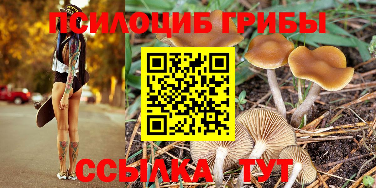 Псилоцибиновые грибы Psilocybine cubensis Миллерово