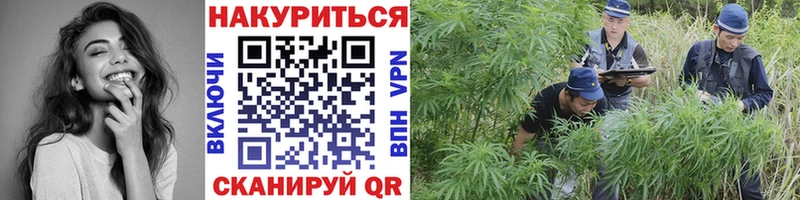 Канабис марихуана  Миллерово 